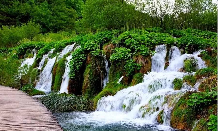 تنگ بستانک - سفر یک روزه اطراف شیراز