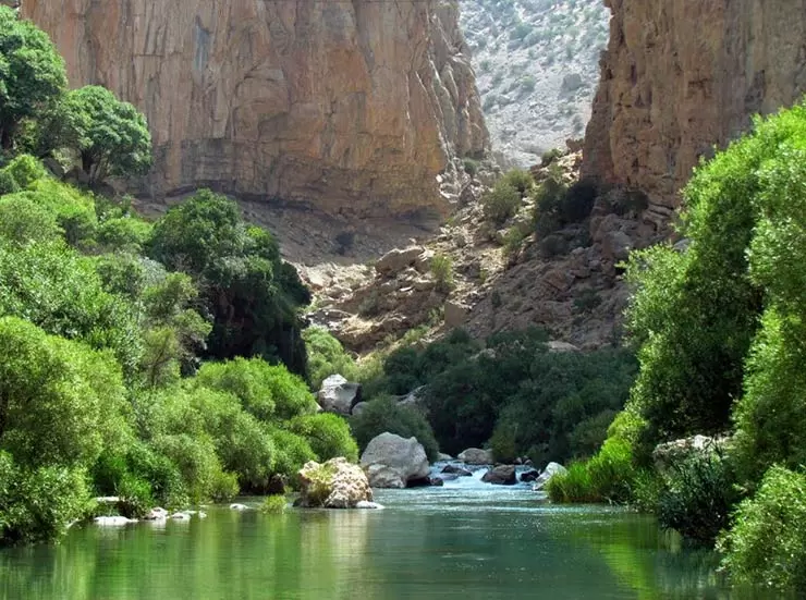 تنگ دم اسب