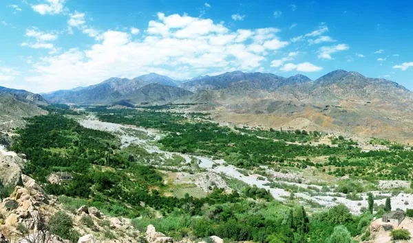 عکس دلفارد جیرفت