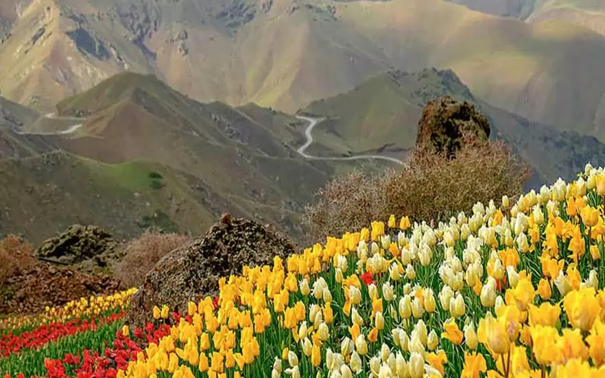 جاهای دیدنی ایران در طبیعت سرسبز البرز