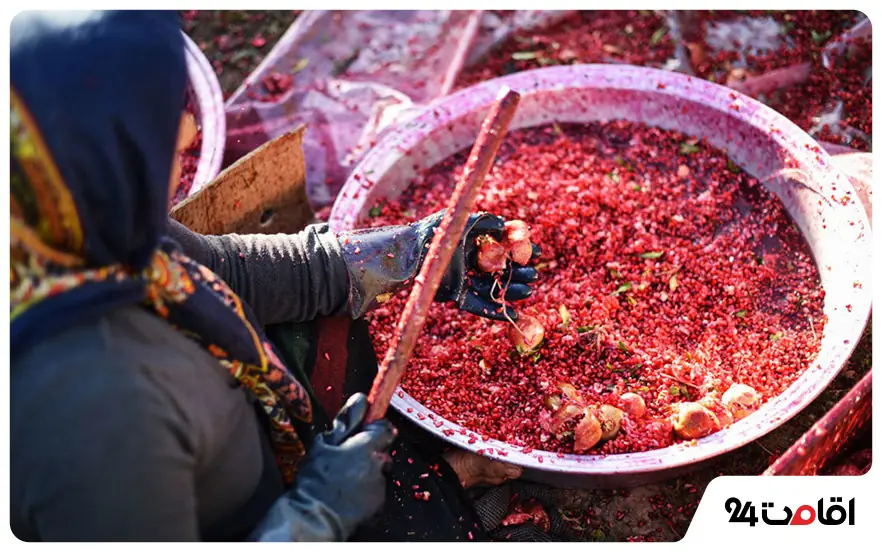 آیین های ارسنجان؛ از مراسم پخت رب انار تا تعزیهخوانی 2 جشنوار انار در ارسنجان