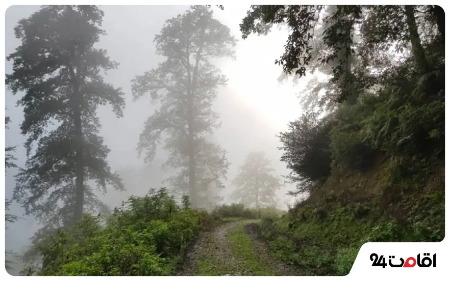 18 تا از بهترین جاده های شمال؛ جاهای دیدنی و لوکیشنهای عکاسی 25 بهترین لوکیشن های عکاسی در جاده های شمال ایران