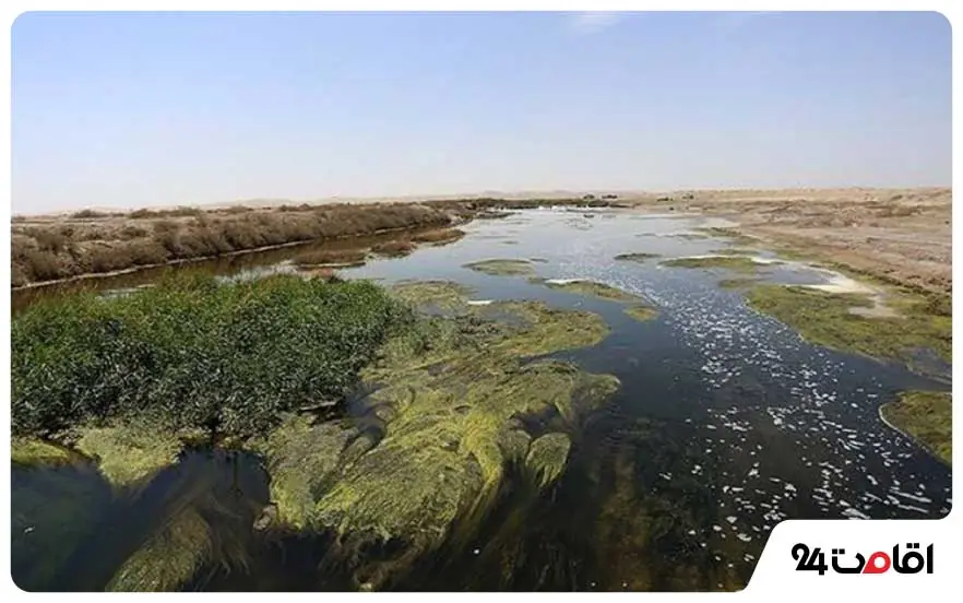 تالاب گاوخونی