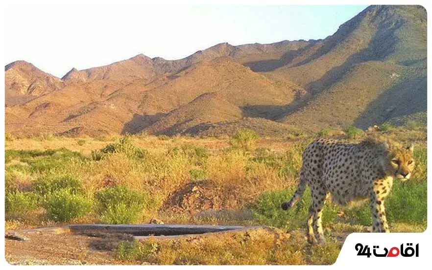 پناهگاه حیات وحش عباس آباد