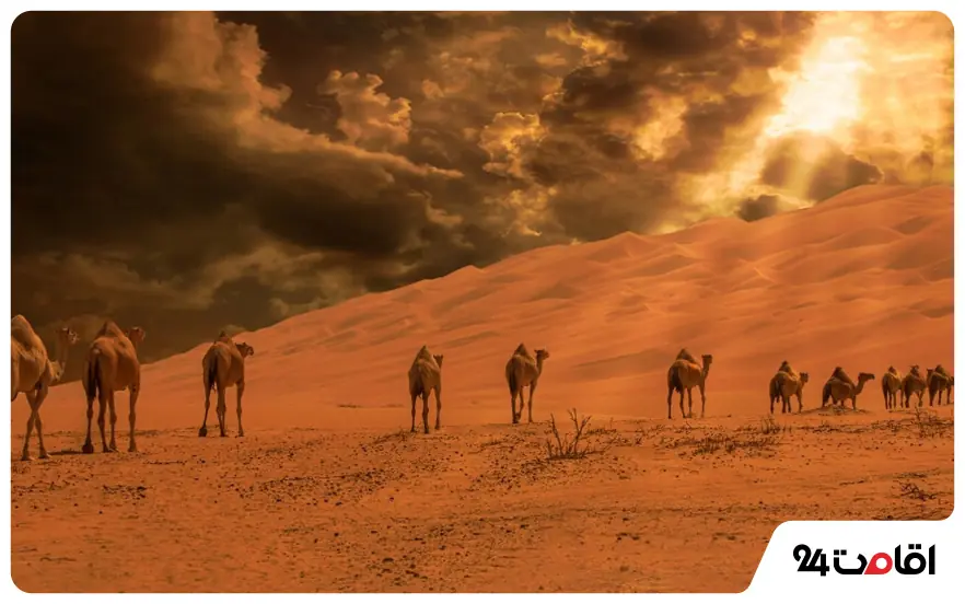 جاهای دیدنی ابوظبی در پاییز