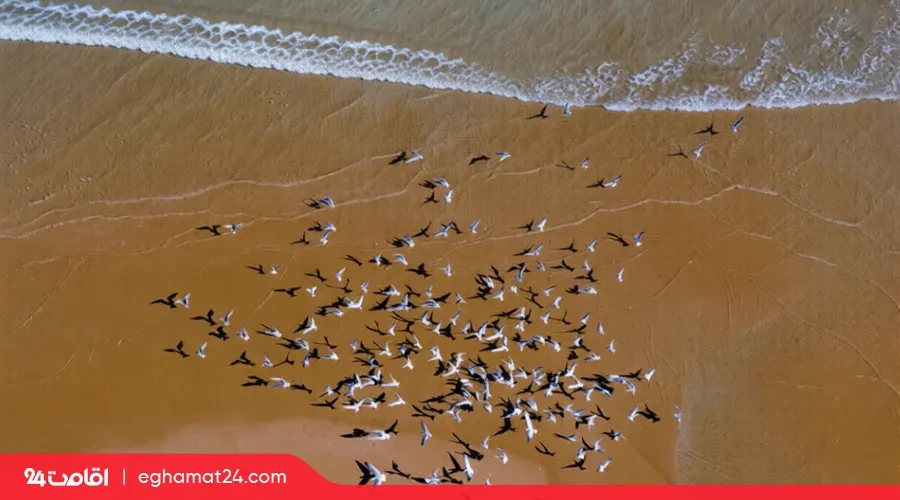 تور لاکچری چابهار