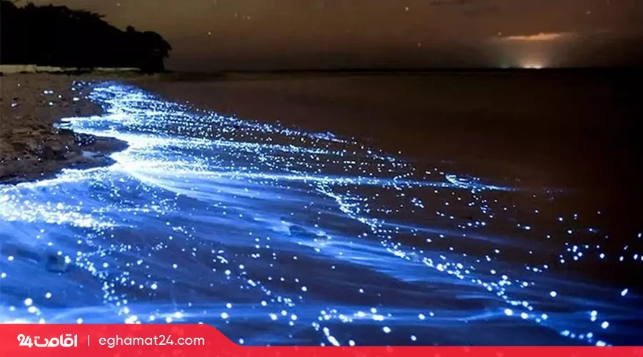 پلاینتون در چابهار