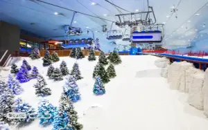 پارک برفی پنگوئن کیش