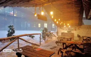 پارک برفی پنگوئن کیش