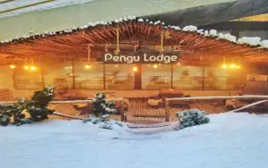 تصویری از پارک برفی کیش؛ تفریح هیجانی در پارک برفی پنگوئن