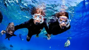 تصویری از بلیط غواصی در دبی