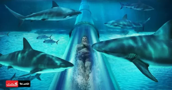 سرسره حمله کوسه (shark attacks) | خرید بلیط پارک آبی آتلانتیس