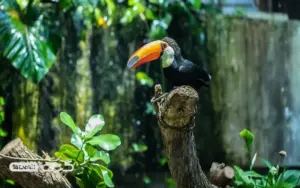 گرین پلنت دبی