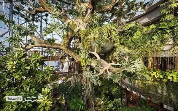 گرین پلنت دبی