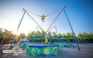 پکیج سافاری کیش