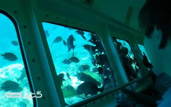 کشتی آکواریومی کیش