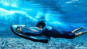 تصویری از بلیط سی باب در کیش