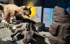 تم پارک سنتر کیش