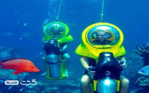 اسکوتر دریایی کیش