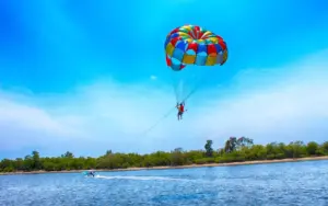 تصویری از بلیط پاراسل کیش