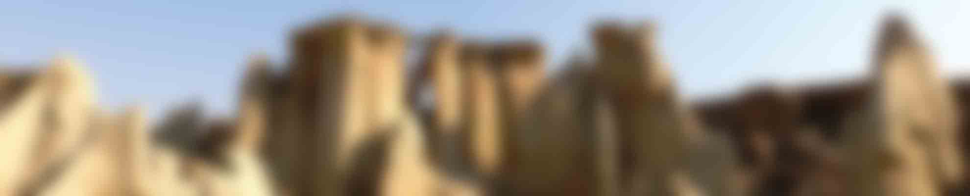 back-image-blur
